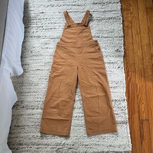 Patagonia Canvas Stand Up Cropped Overalls